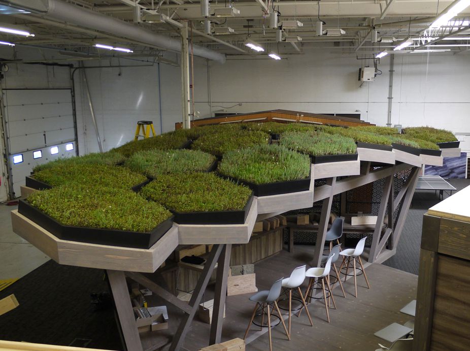 DIRTT Environmental Solutions, Magog Meadows Interior Green Roof Featured Image