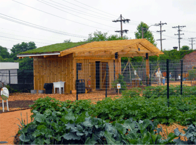 Edible Schoolyard Shed Featured Image