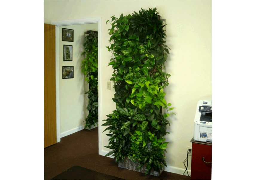 Green Living Technologies Glt Office Greenroofs Com