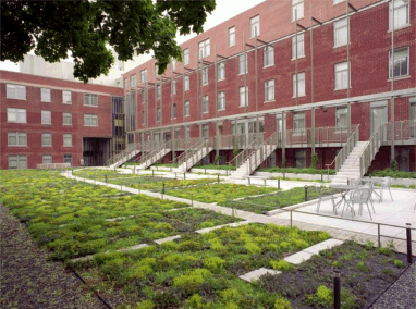 Harvard Graduate Student Housing at 29 Garden Street Featured Image