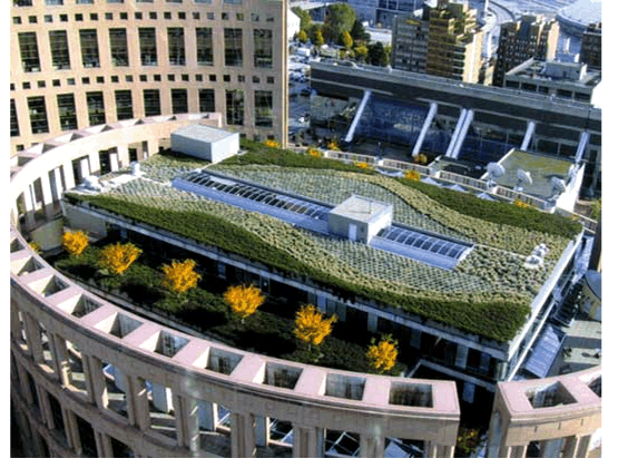 Vancouver Public Library Library Square Building Greenroofs Com