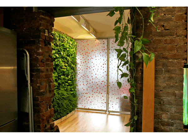 McGregor-Mento Green Wall Featured Image