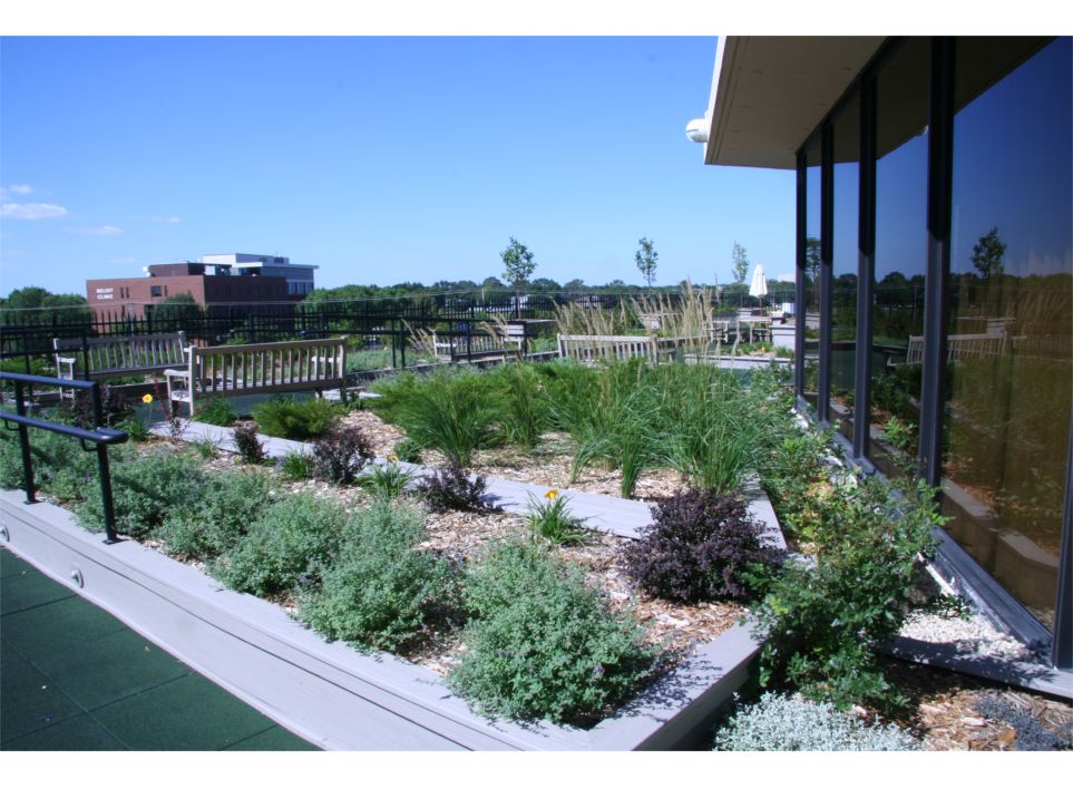 The Neese Memorial Rooftop Garden Featured Image