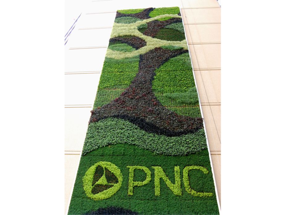 PNC Bank Baltimore Green Wall Featured Image