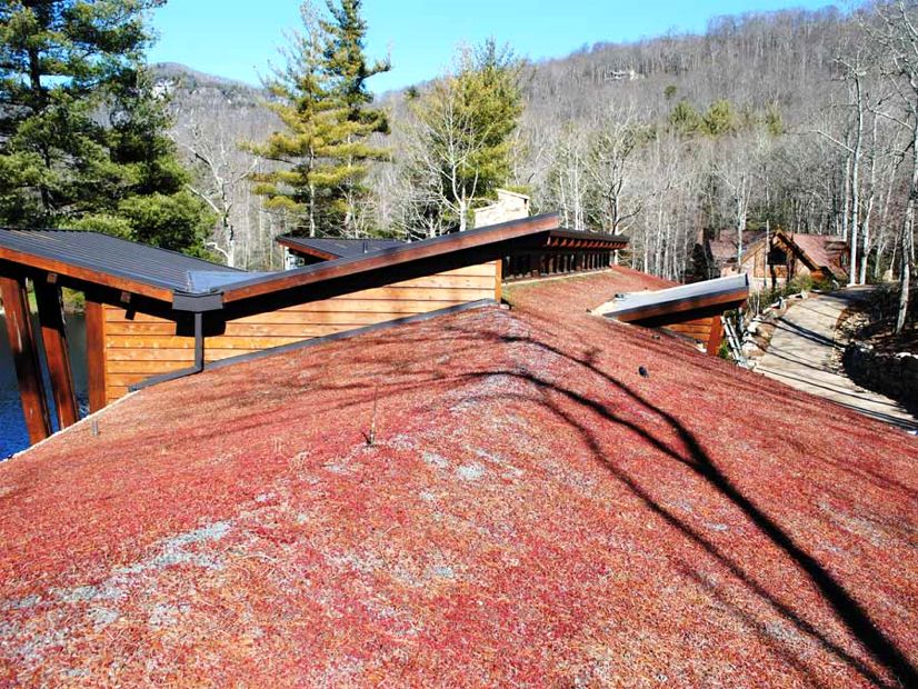 Video & Project of the Week for September 8, 2014: Private Lake Toxaway, NC Residence Green Roof