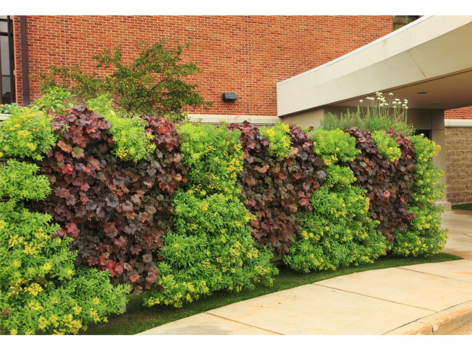Spectrum Health Medical Group Heart and Vascular Center Two-Sided Green Wall Featured Image