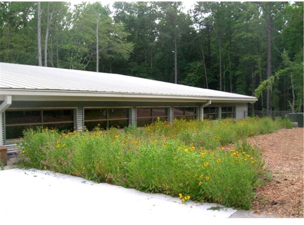 Sweetwater Creek State Park Visitors Center and Museum Featured Image