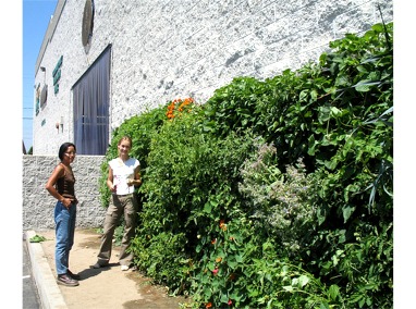 Urban Farming Food Chain – Los Angeles Regional Food Bank Green Wall Featured Image