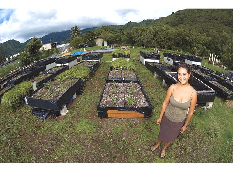 University of Hawai`i at Manoa Green Roof Experiment Featured Image