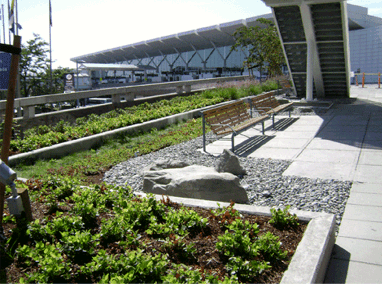 Vancouver International Airport  (YVR) Terminal Featured Image