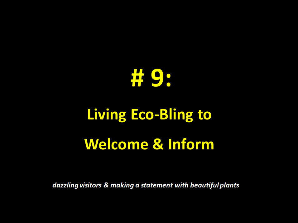 2018 Top 10 Hot List Category #9: Living Eco-Bling