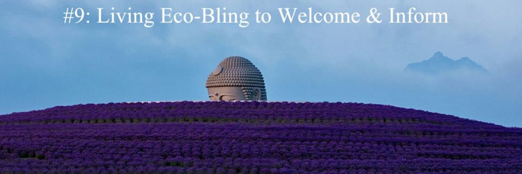 2018 Top 10 Hot List Category #9: Living Eco-Bling