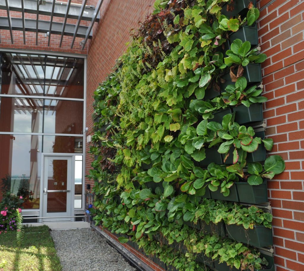 LiveWall Living Walls Enliven the Healing Landscape at HOPE Tower