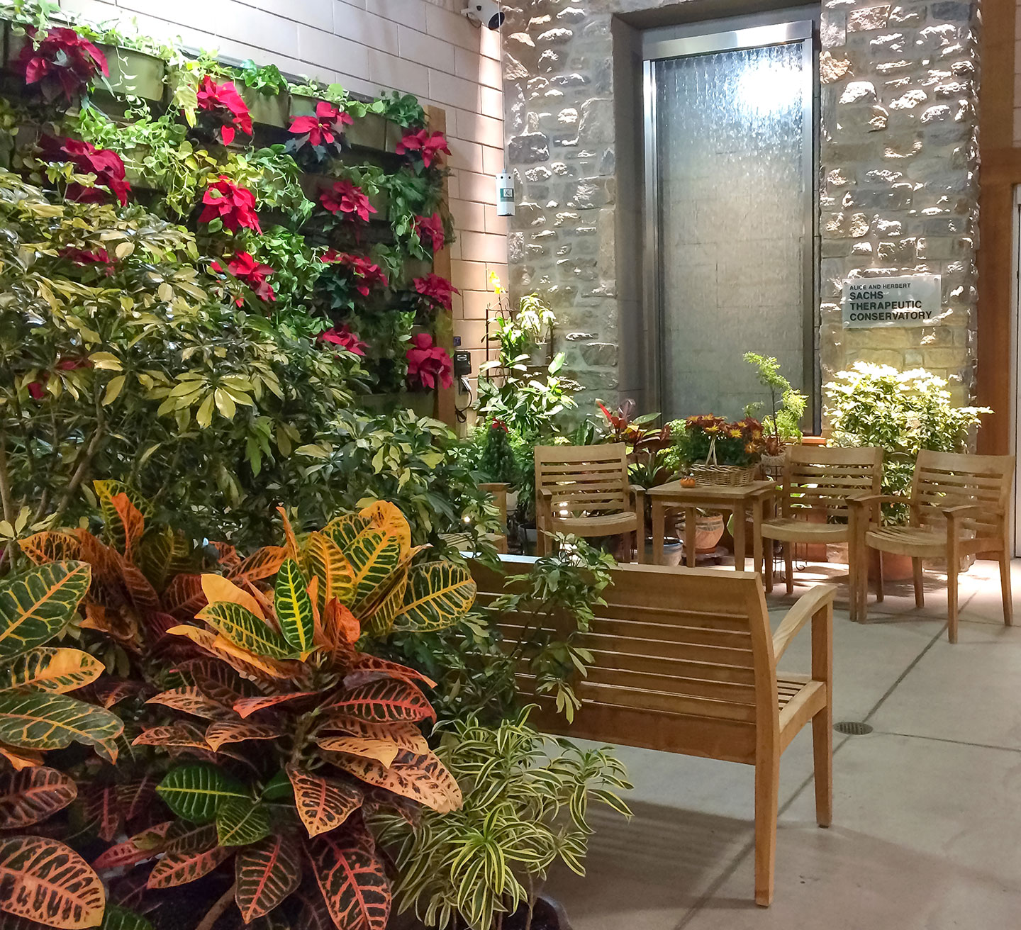 Alice and Herbert Sachs Therapeutic Conservatory LiveWall