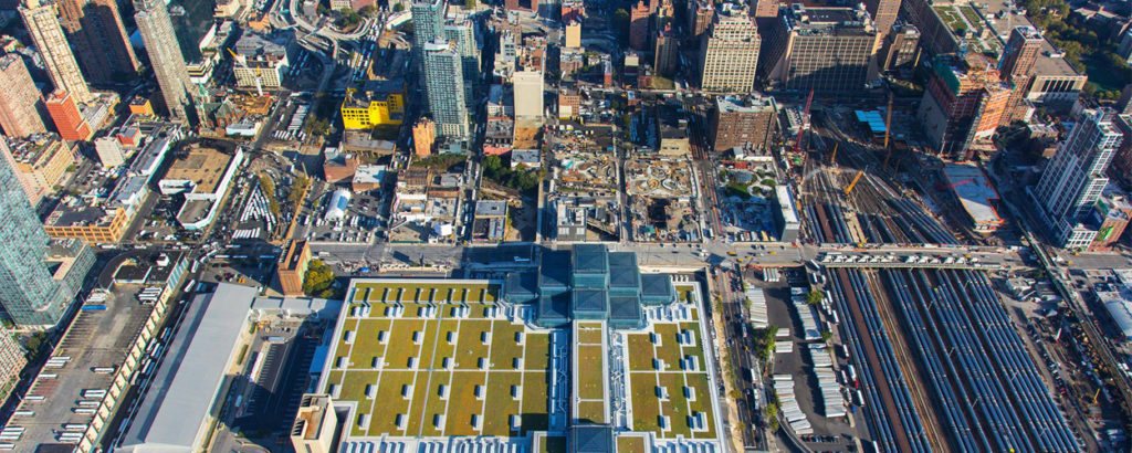 New York City Council Committee held a Hearing to Consider Green Roof Legislation