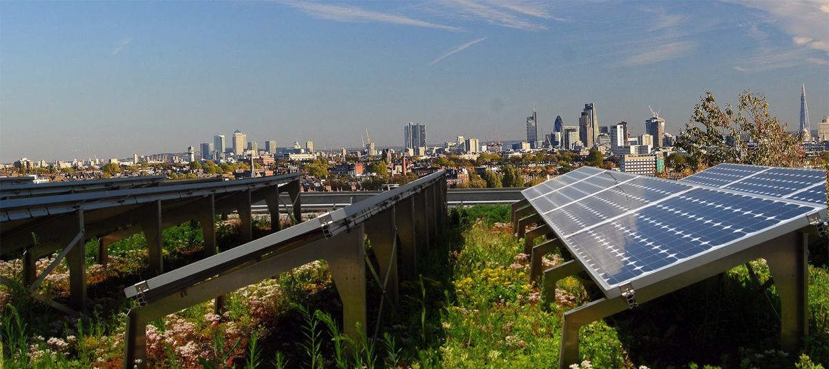 Solar Integrated Green Roof