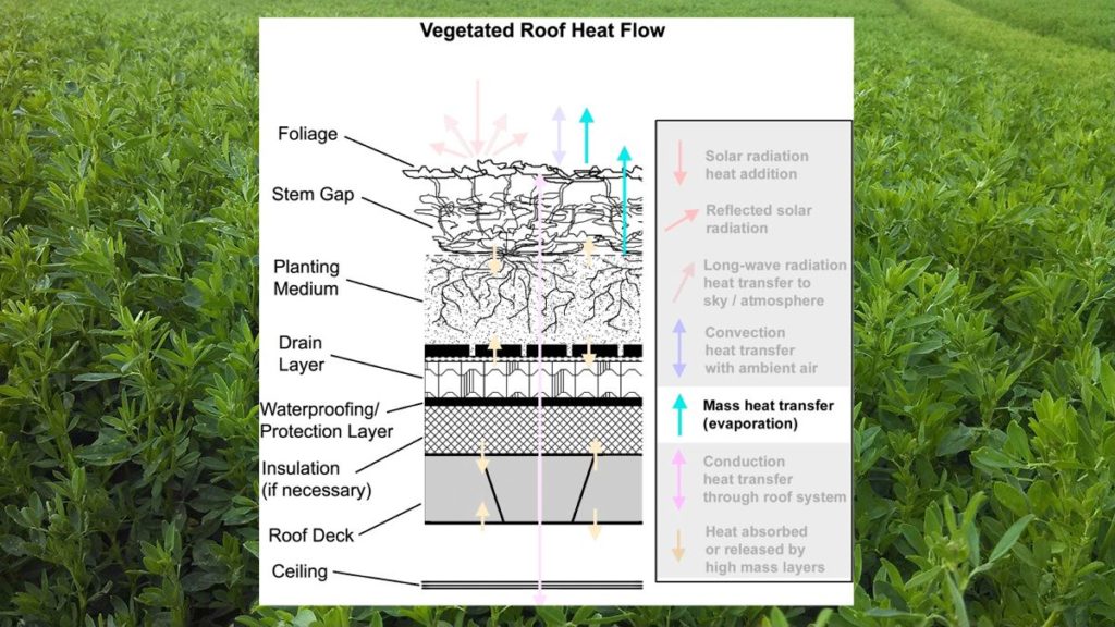 Green Roof Energy Series Part 2: Evapotranspiration