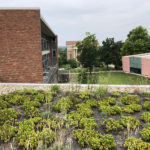 University of Cincinnati DAAP Green Roof