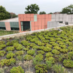 University of Cincinnati DAAP Green Roof