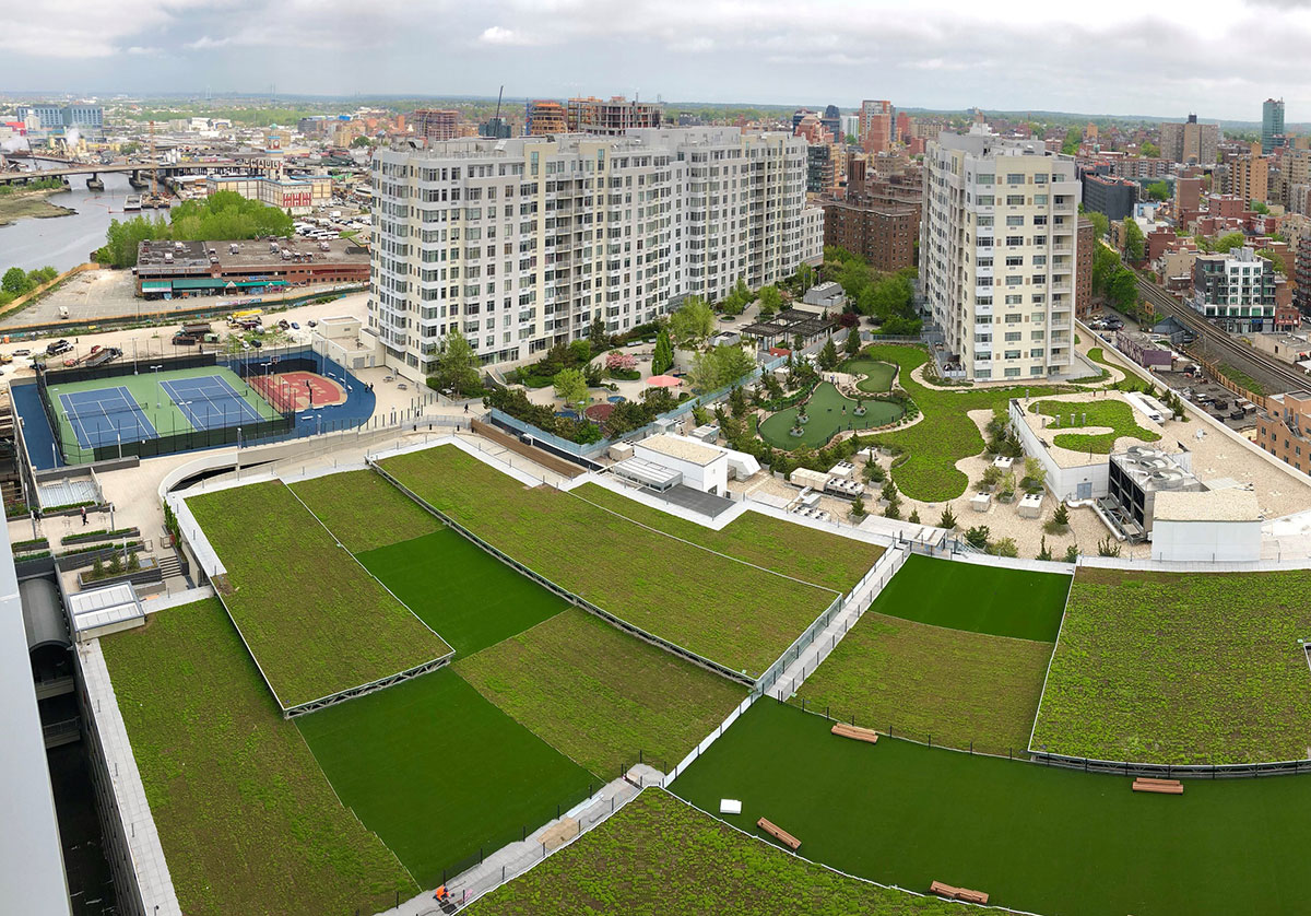 Sky View Parc Green Roof