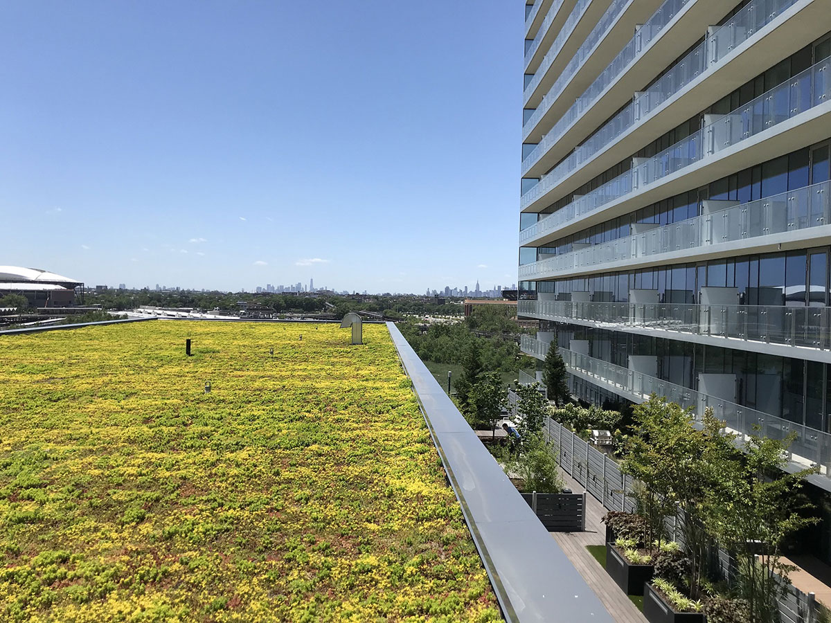 Sky View Parc Green Roof