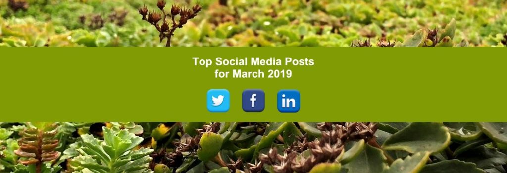Top Social Media Posts for March 2019