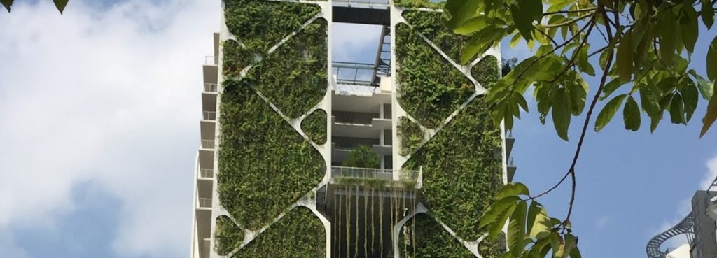 Green Walls Becoming More Popular In Singapore Buildings
