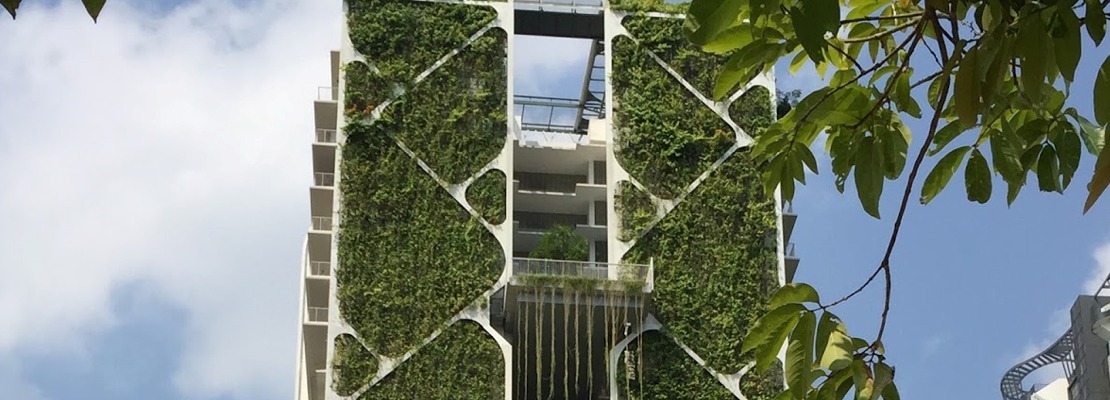 Green Walls Becoming More Popular In Singapore Buildings Greenroofs Com
