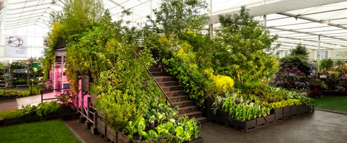 Ikea’s Utopian Urban Gardening Project: Gardening Will Save the World