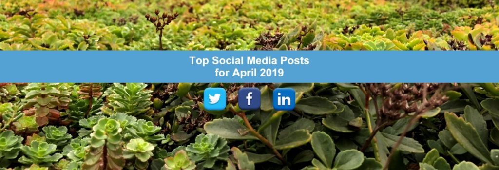Top Social Media Posts for April 2019
