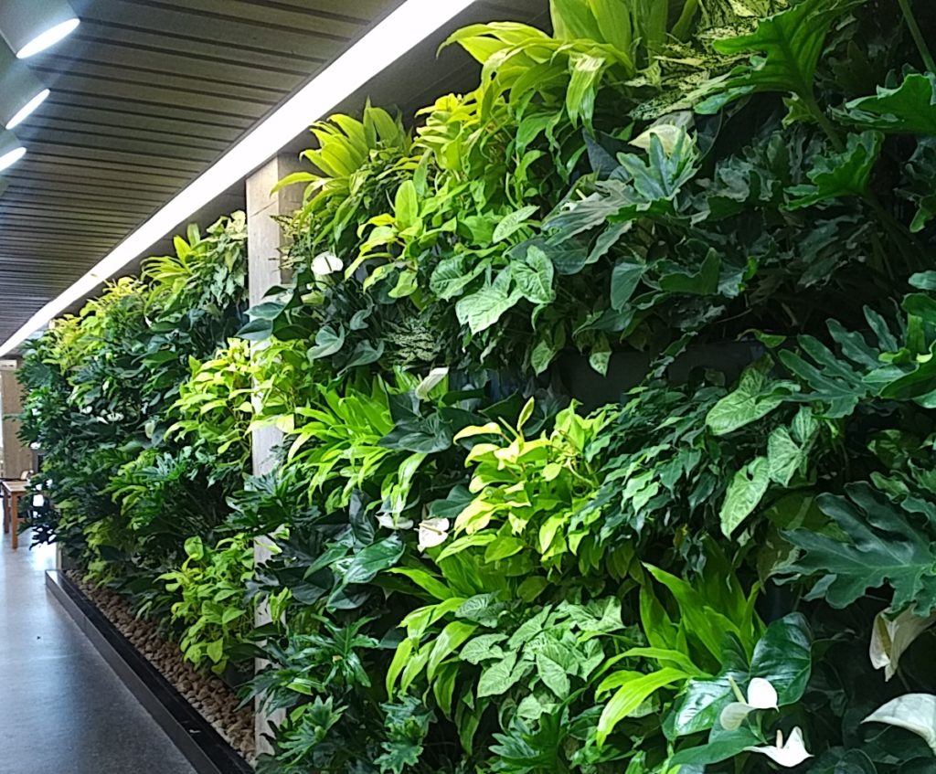 LiveWall Living Wall is the Green Centerpiece in Trent University's Bata Library