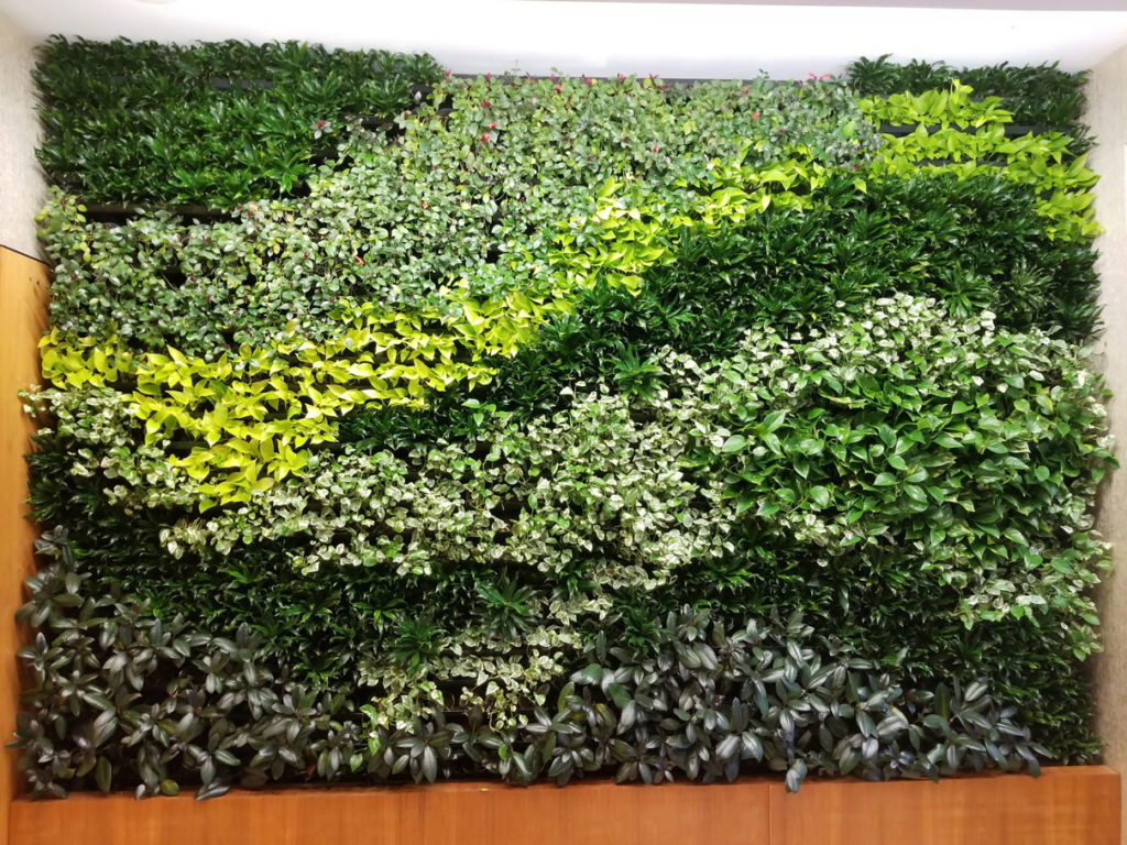 GSky Highlights Unique Living Green Wall Maintenance Program