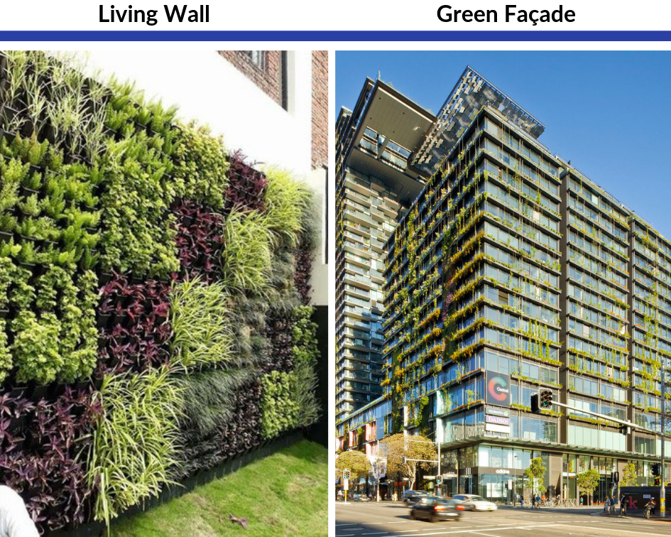 5 Things You Need To Know About Jakob Rope Systems Green Facades Greenroofs Com