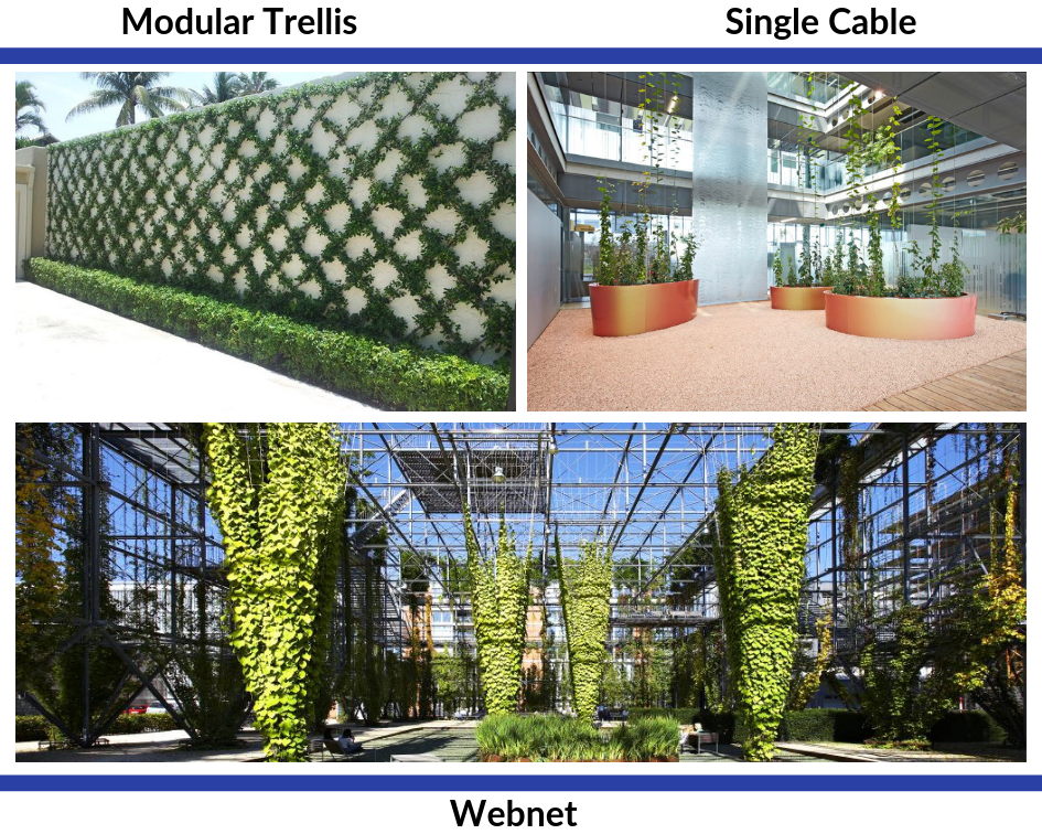 5 Things You Need To Know About Jakob Rope Systems Green Façades Greenroofs Com - Green Wall Garden Wire Trellis System