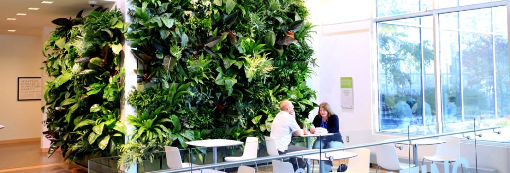 How Biophilic Design Can Transform Workspaces Forever