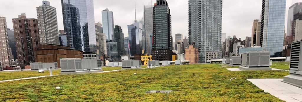 New York City Department of Buildings (DOB) Announces Sustainable Roof Requirements for New Buildings Go Into Effect