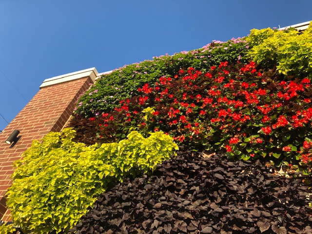 Lansing Board of Water & Light Features a LiveWall® Outdoor Living Wall on its New Central Substation
