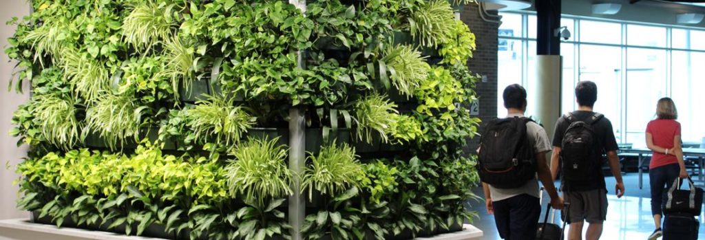 Featured Project: Appleton International Airport Living Wall