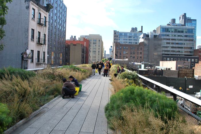 A Comparison of the 3 Phases of the High Line Part 8 - Maintenance & Irrigation