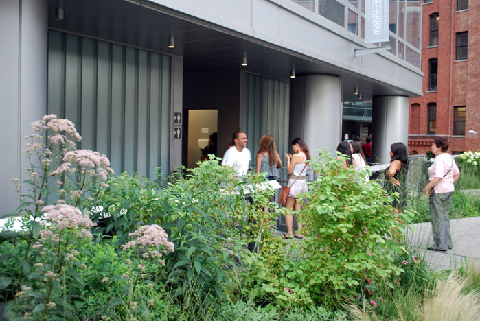 A Comparison of the 3 Phases of the High Line Part 14 Conclusion