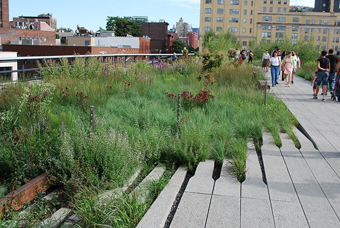 A Comparison of the 3 Phases of the High Line Part 3 - Plantings Discussion