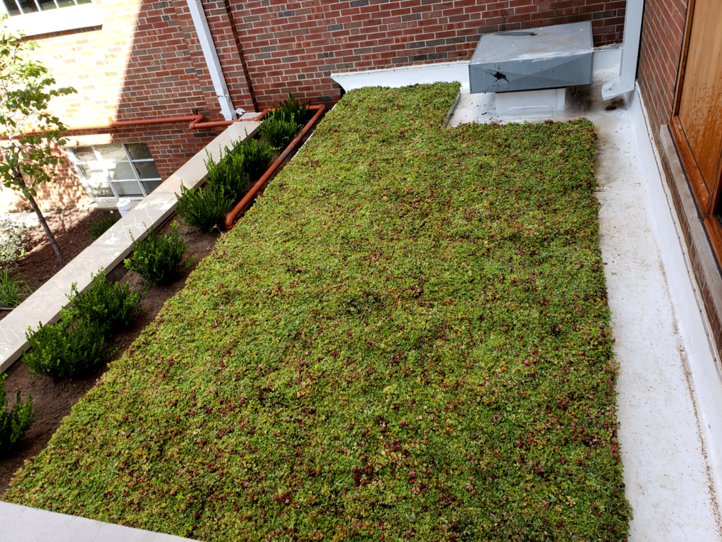 St. Charles Methodist Church Gets a Brand New Green Roof