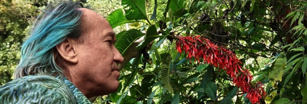 Patrick Blanc's Botanical Adventure in Guatemala