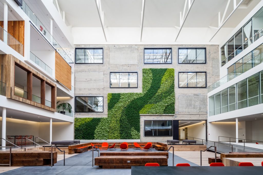 The Importance of Biophilic Design in Office Spaces Post COVID-19
