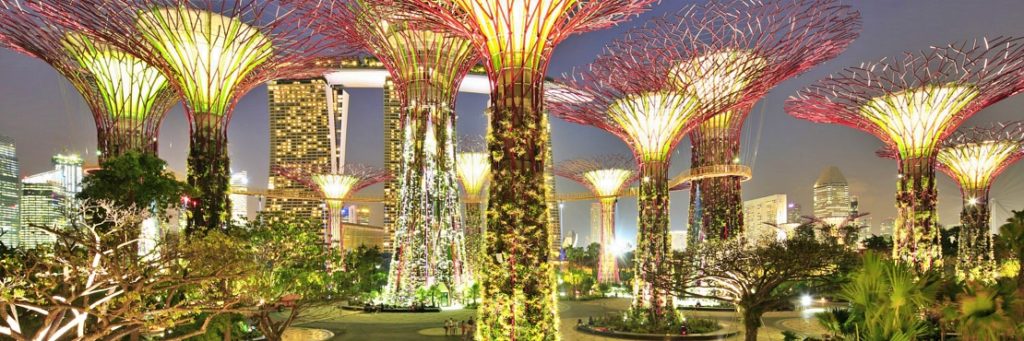 Featured Project: Gardens by the Bay Supertrees