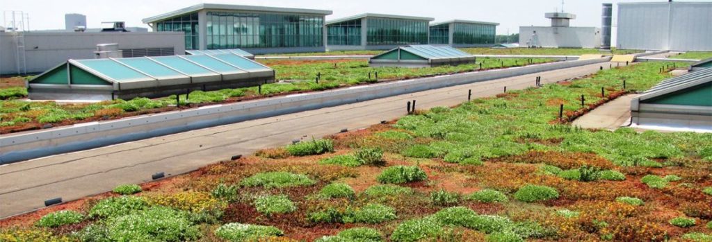 Ford Dearborn Truck Plant Green Roof at the Rouge Complex: Looking Back Ten Years