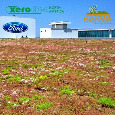 Bioroof Sells Xeroflor Green Roof Systems