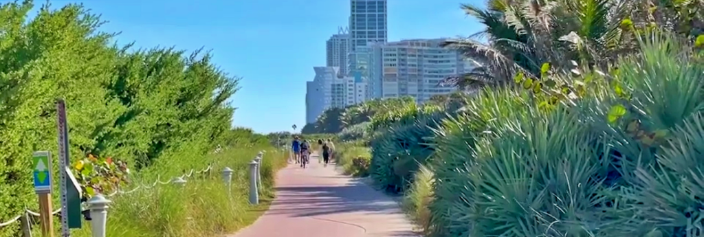 Due to Climate Change, Miami Beach Moving Away From Palm Trees to Create More Shade