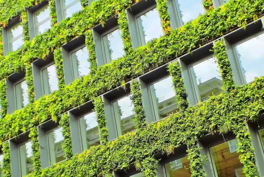 Green Roofs and Walls – An Extra-Dimensional Approach to City Greening