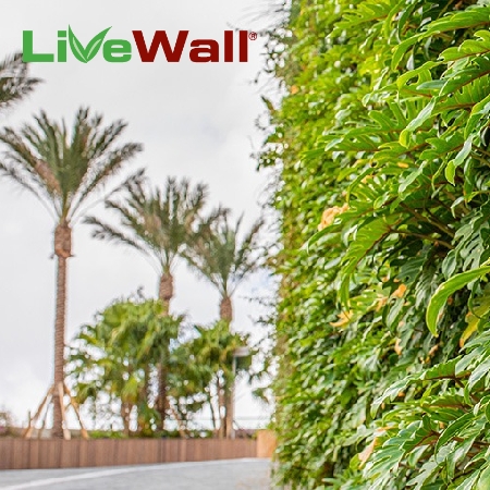 New Patent: Equalizing Water Flow on Living Walls by LiveWall
